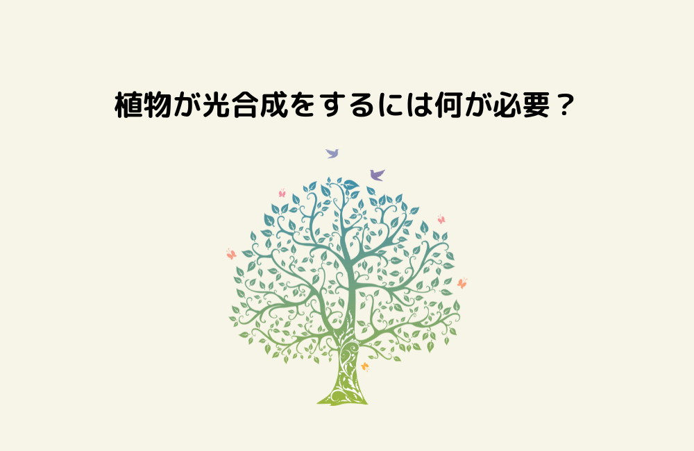 京の算数学問題の画像
