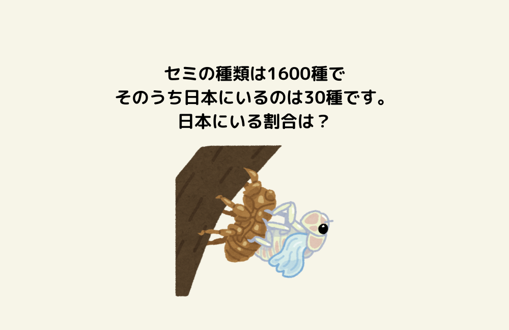 京の算数学問題の画像