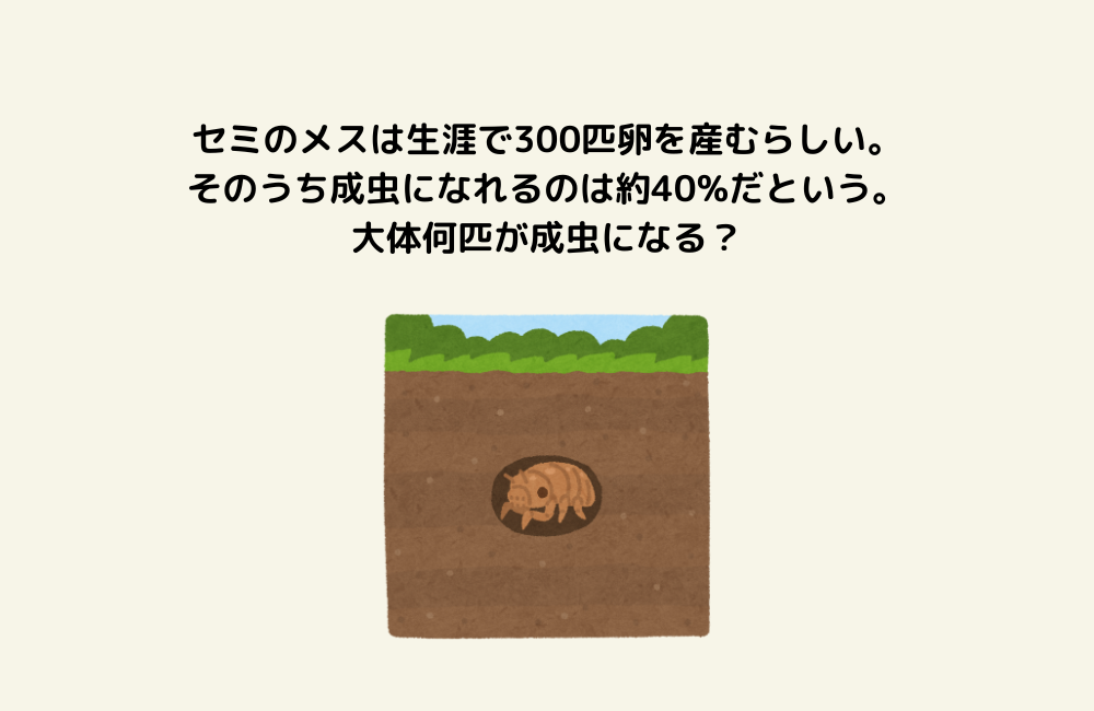 京の算数学問題の画像