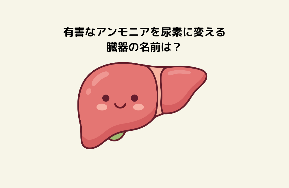 京の算数学問題の画像