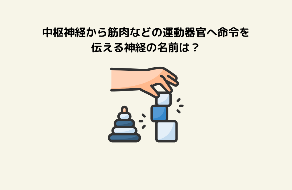 京の算数学問題の画像