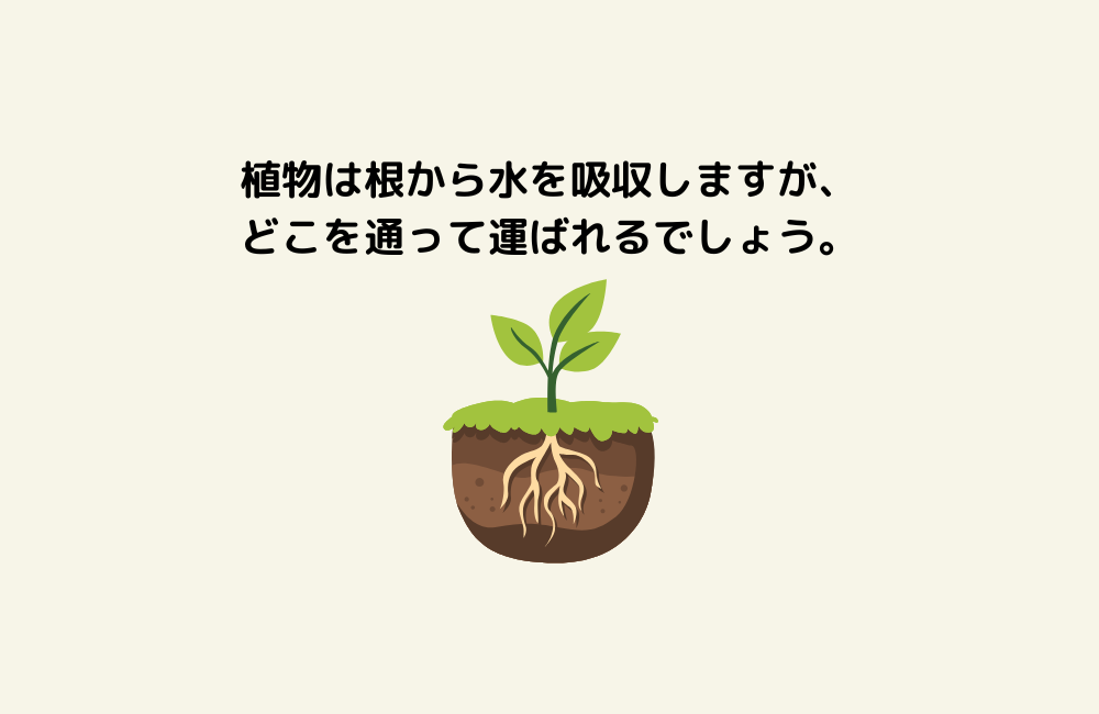 京の算数学問題の画像
