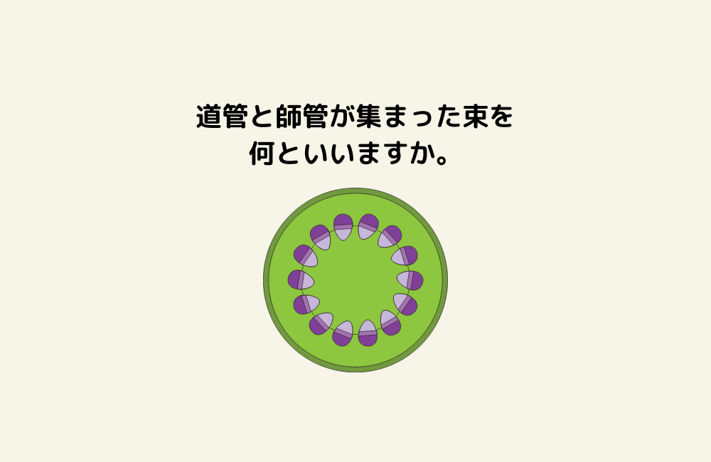 京の算数学問題の画像