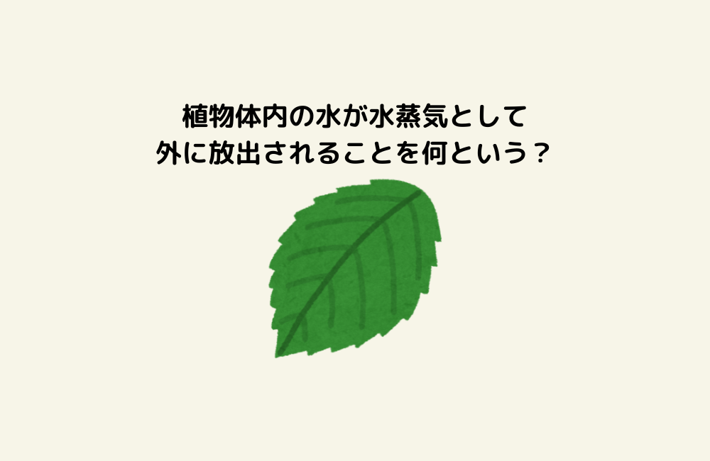 京の算数学問題の画像