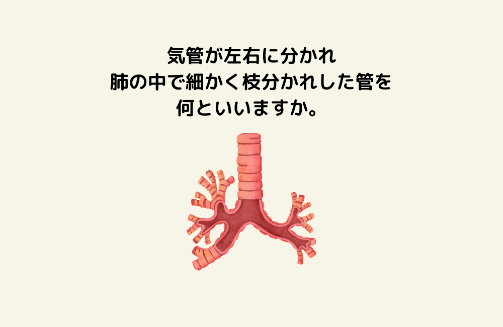 京の算数学問題の画像