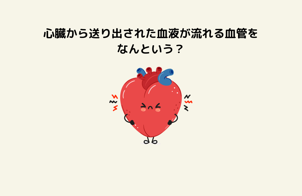 京の算数学問題の画像