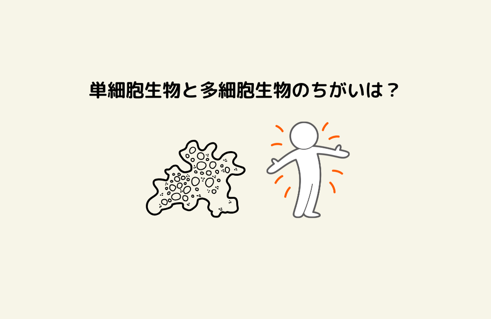 京の算数学問題の画像