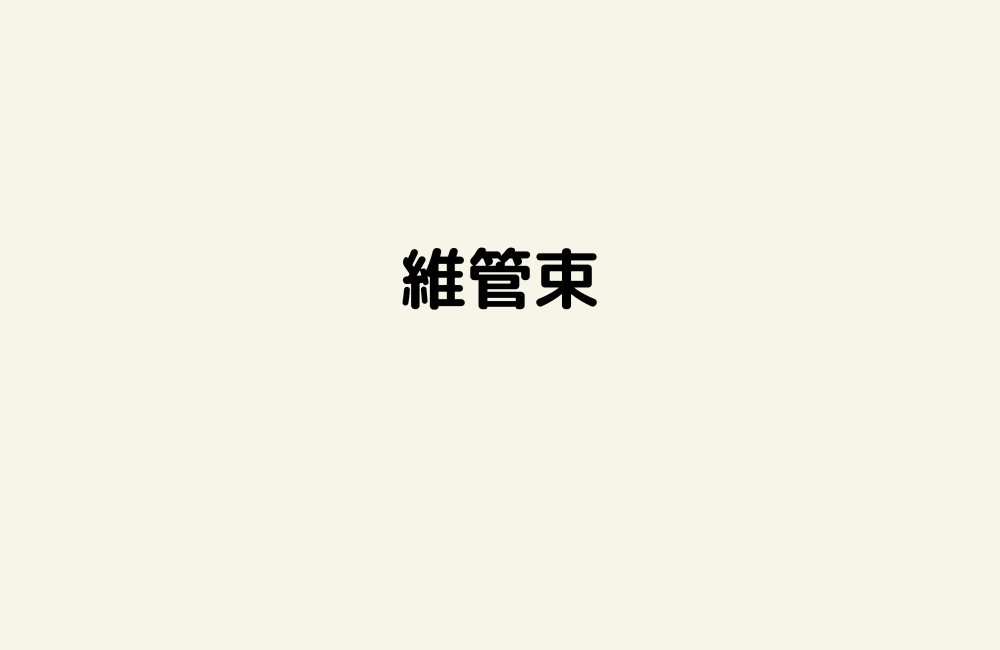 京の算数学解答の画像