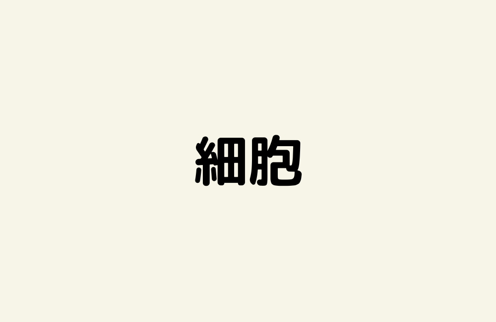 京の算数学解答の画像