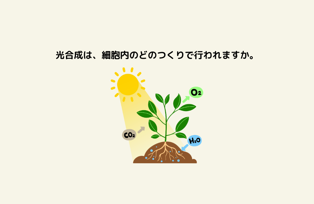 京の算数学問題の画像