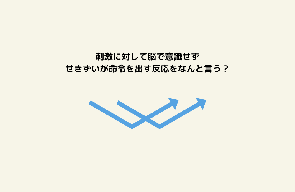京の算数学問題の画像