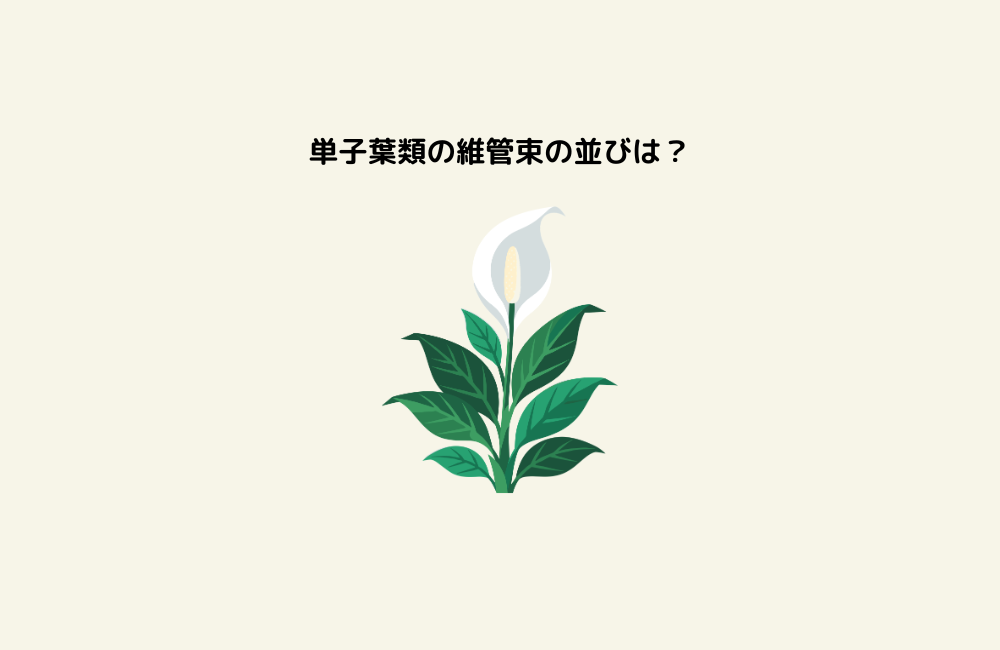 京の算数学問題の画像