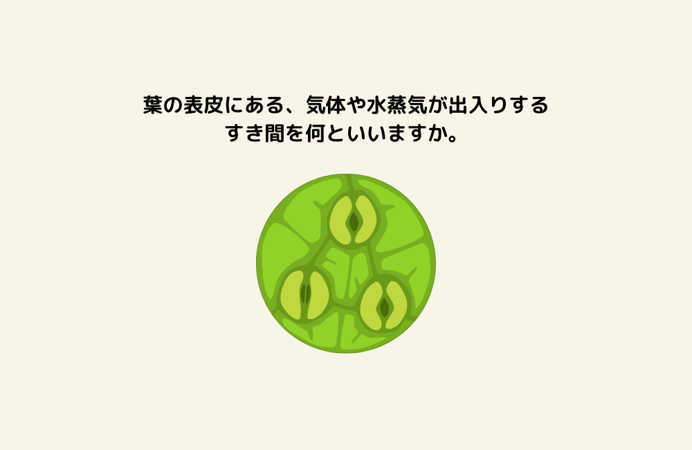 京の算数学問題の画像