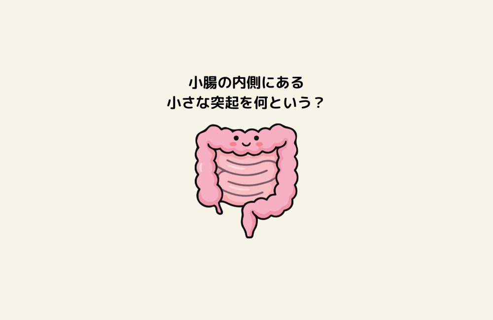 京の算数学問題の画像