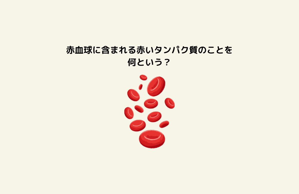 京の算数学問題の画像
