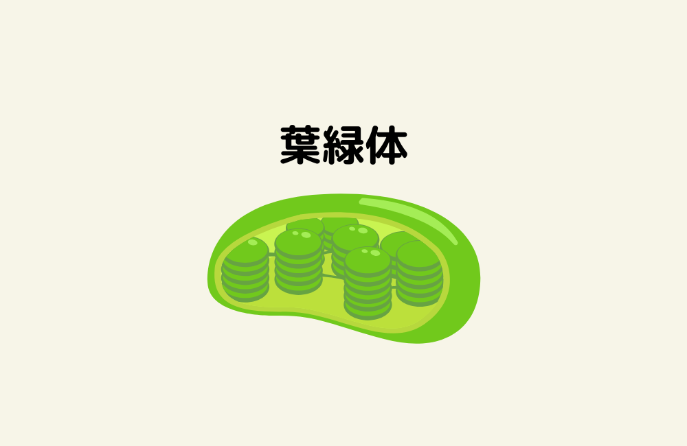 京の算数学解答の画像