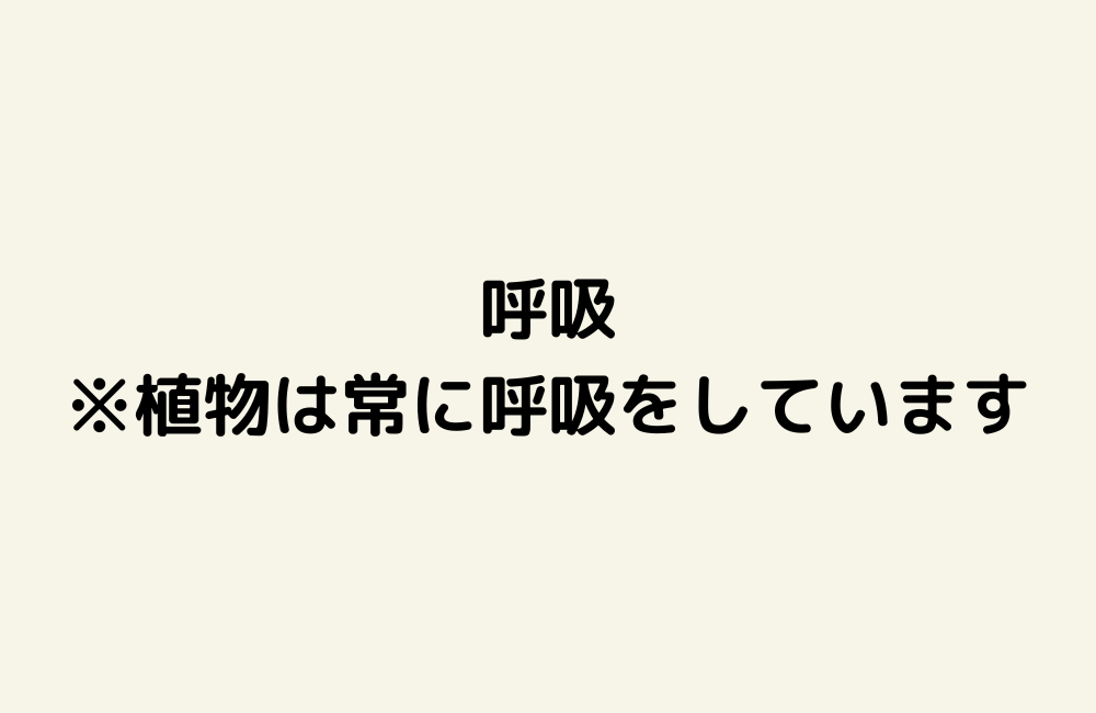 京の算数学解答の画像