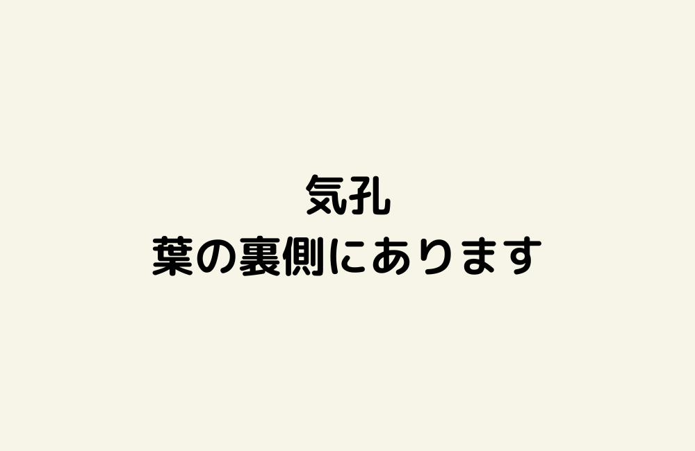 京の算数学解答の画像