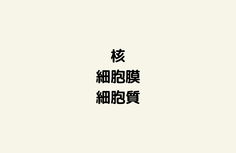 京の算数学解答の画像