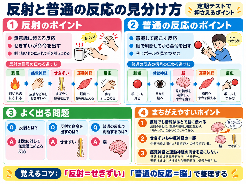 反射と普通の反応の見分け方