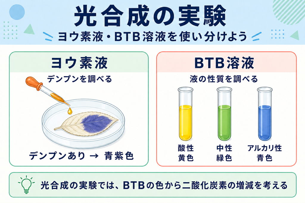 ヨウ素液はデンプンがあると青紫色になり、BTB溶液は酸性で黄色、中性で緑色、アルカリ性で青色を示す。