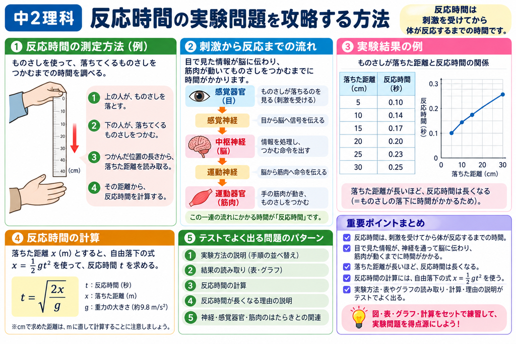 反応時間の実験問題を攻略する方法
